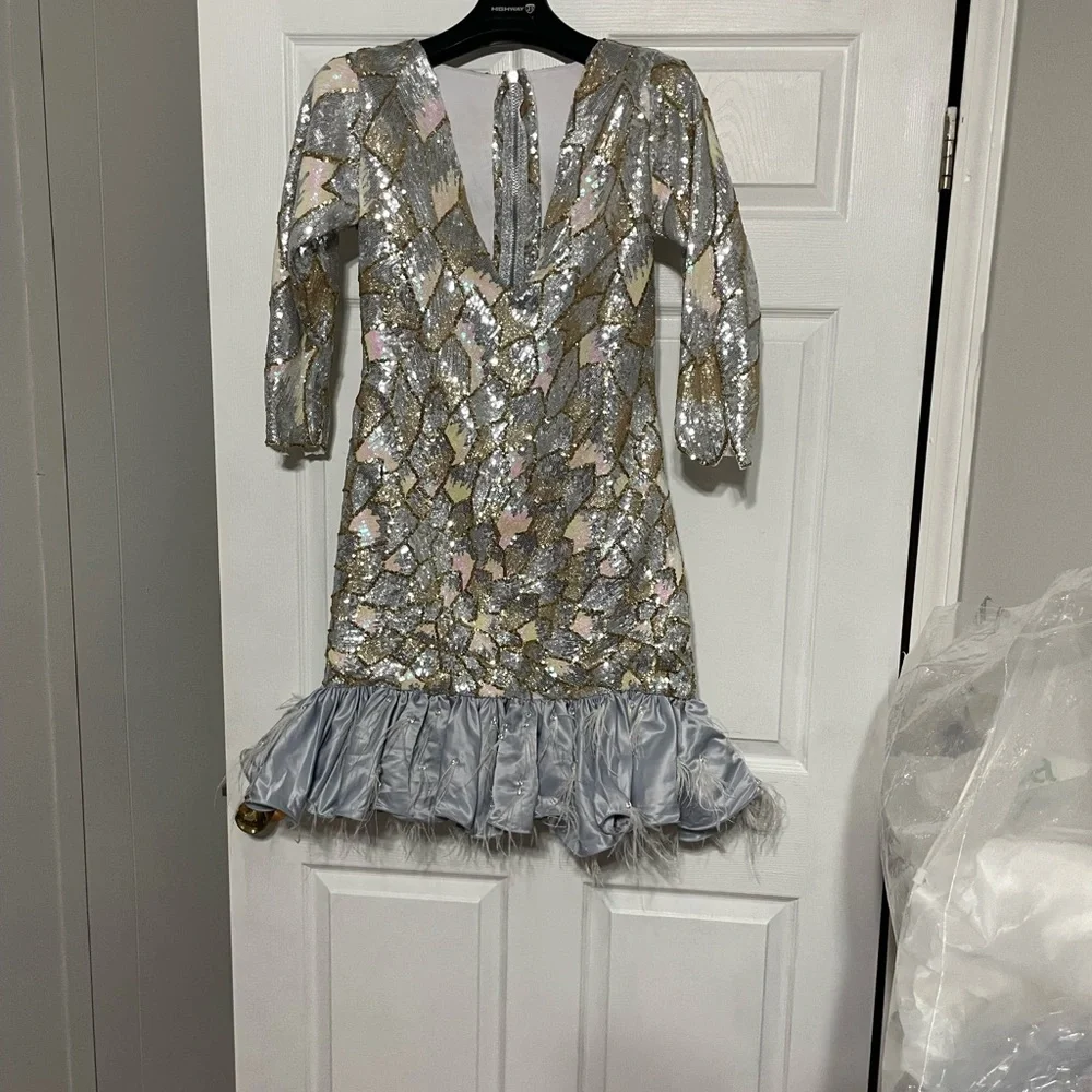 Silver and Gold Sequin Dress with Ruffle Hem - Picture 1 of 16